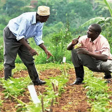 44_un_conseiller_agricole_donnant_des_conseils_a_un_paysans_a_sokoto_au_nord._photo_daouda_aliyou-1