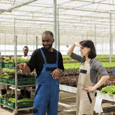 Caucasian woman greenhouse worker shading eyes with hand while talking with african american man pointing in organic lettuce farm. Diverse people taking a break from cultivating bio vegetables.