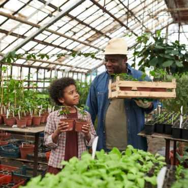 father-with-son-working-in-greenhouse-2023-11-27-05-27-29-utc (1)